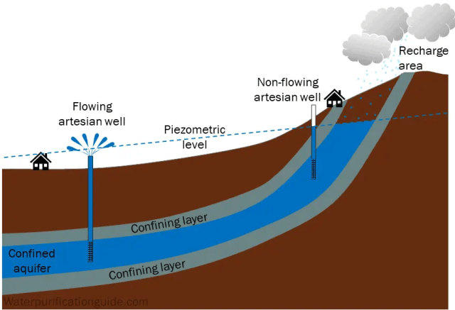 Artesian aquifer between confining layers. Recharge affecting piezometric water level and flowing and non-flowing artesian wells.