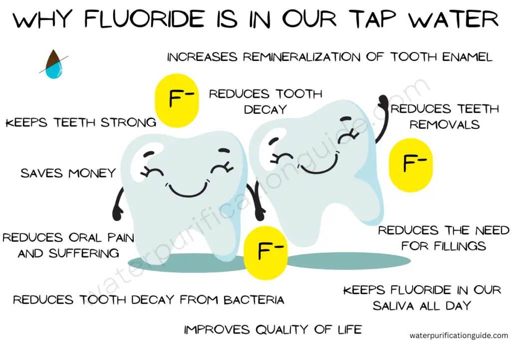 Reasons why fluoride is in our tap water. Fluoride improves overall oral health by minimizing demineralization and tooth decay from bacteria, and increasing remineralization.
