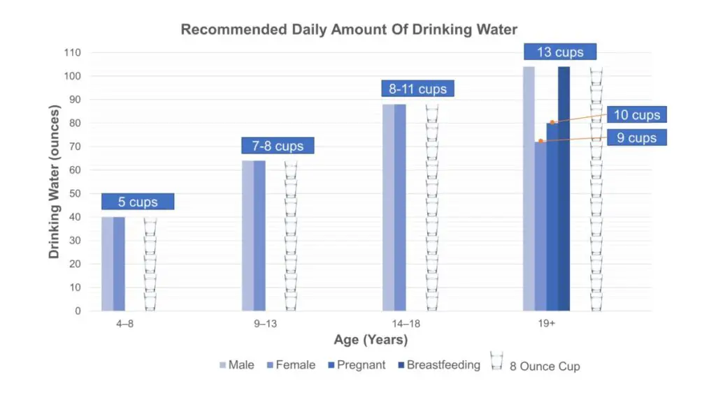 Recommended daily amount of water for males, females, and pregnant and breastfeeding females, based on the number of 8 ounce cups.