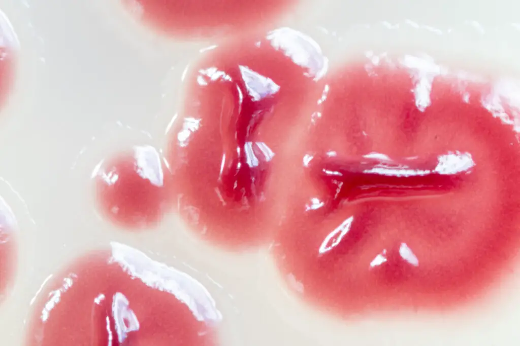 Water Filter Turned Pink What Is It And Is It Harmful Water