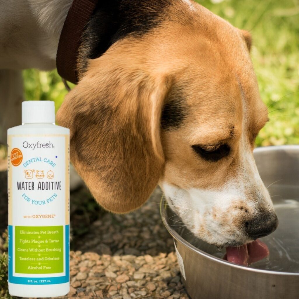 Does Oxyfresh Pet Water Additive Work? [Review]