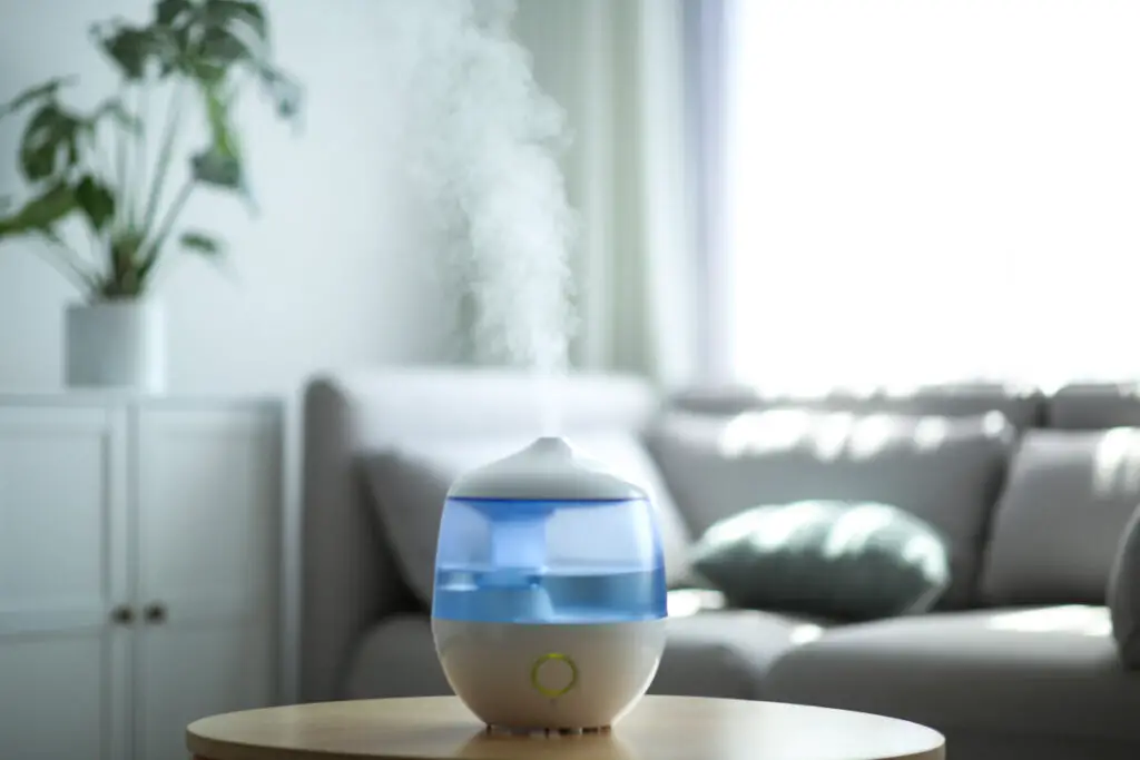 using-ro-water-in-a-humidifier-is-it-the-best-choice-water