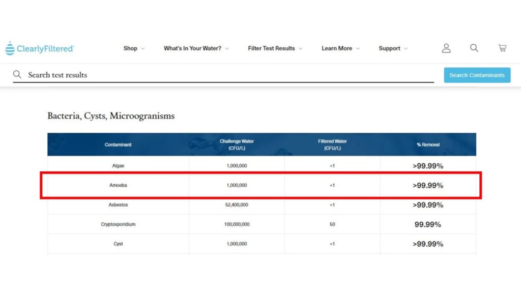 filtering-amoeba-from-water-which-filters-can-you-trust-water