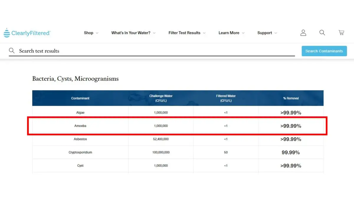 Filtering Amoeba From Water Which Filters Can You Trust? Water