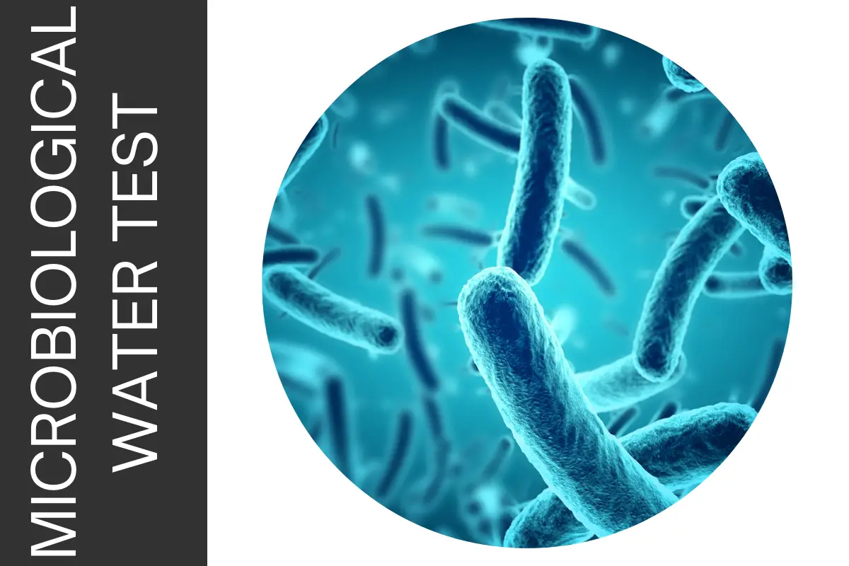 Bacteria Water Purification Guide