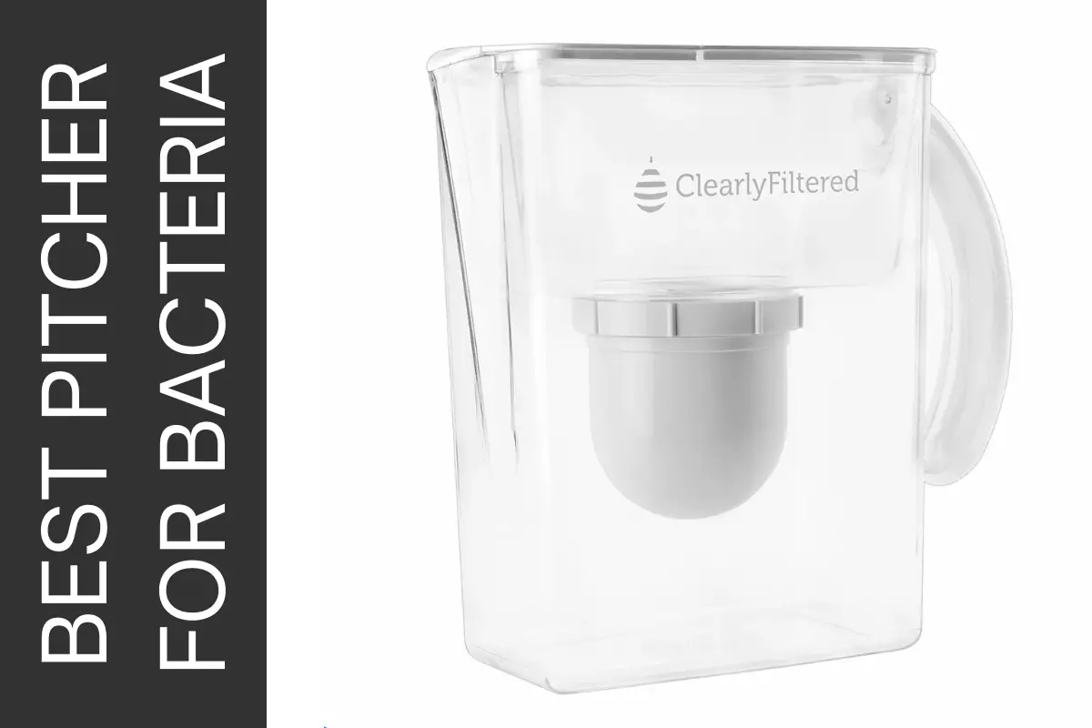 bacteria-water-purification-guide