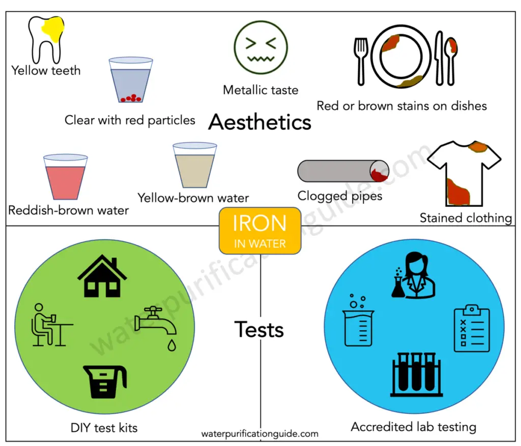 Ways to test for iron in water. A metallic taste, reddish-brown stains on clothing and dishes, clogged pipes and reddish-brown or even yellow water indicate iron is present. DIY home test kits, or accredited laboratory testing can also be conducted. 