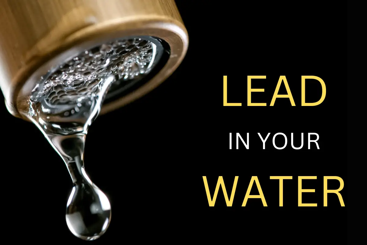 How To Know If Lead Is In Your Water