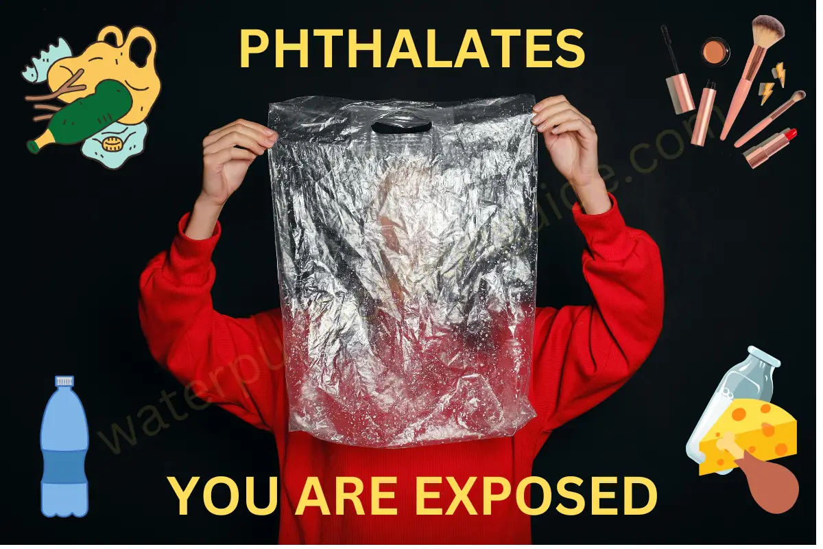 5 Ways You Are Drinking Phthalates – And How To Remove Them