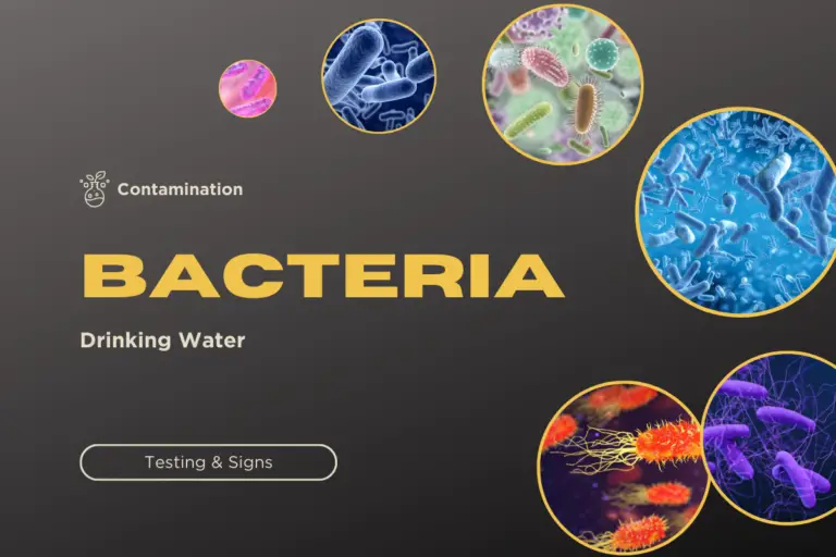 Bacteria In Drinking Water (3 Ways To Know) Water Purification Guide