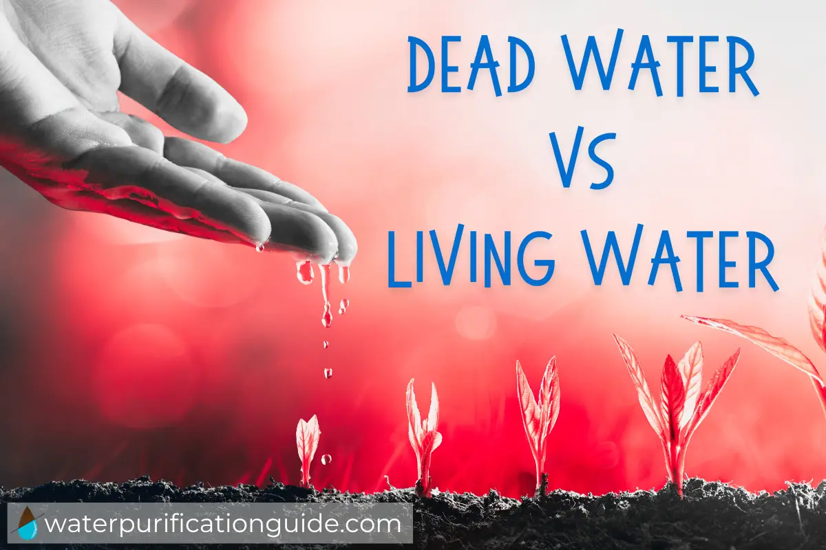 The Difference Between Dead And Living Water