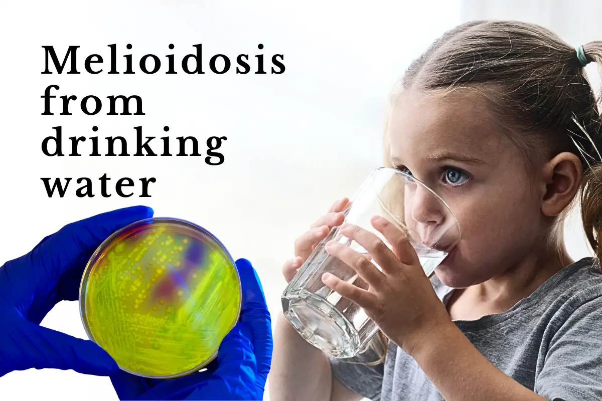 Melioidosis From Drinking Water